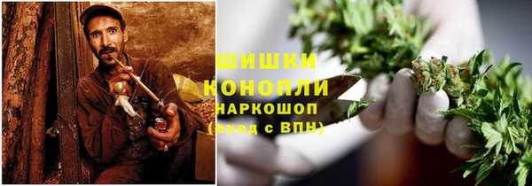 МДПВ Горно-Алтайск