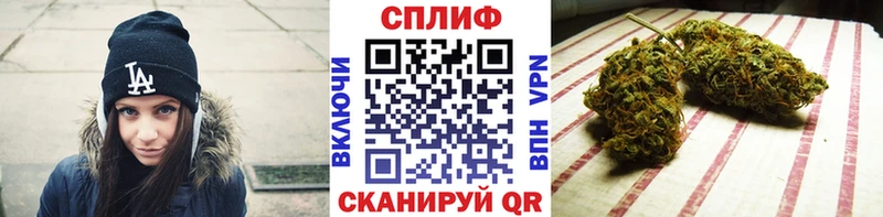 Канабис сатива  Дмитров 